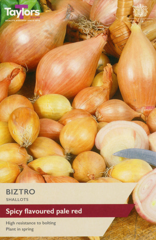 Taylors Bulbs Biztro Shallots
