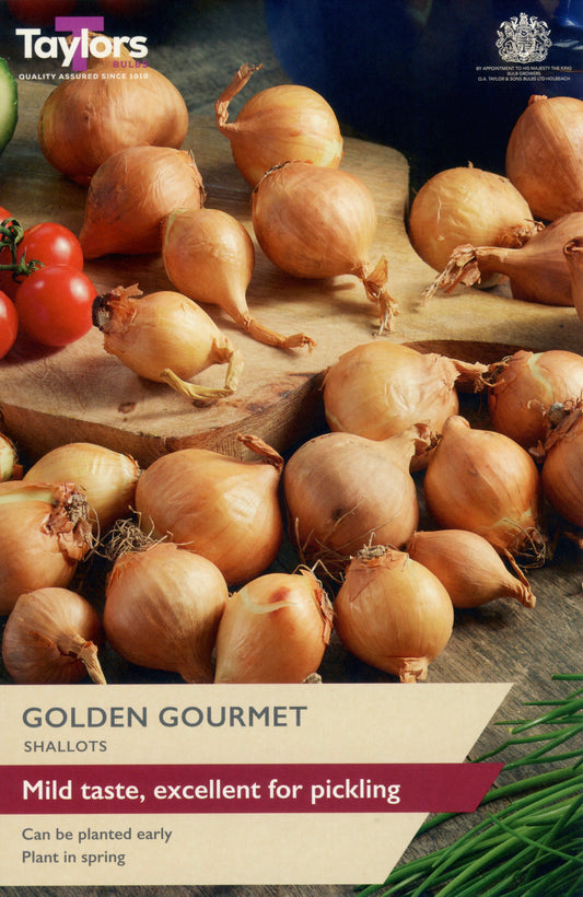 Taylors Bulbs Golden Gourmet Shallots