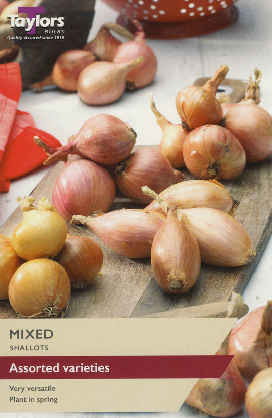 Taylors Bulbs Mixed Shallots Set