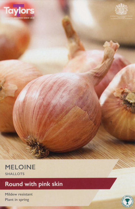 Taylors Bulbs Meloine Shallots