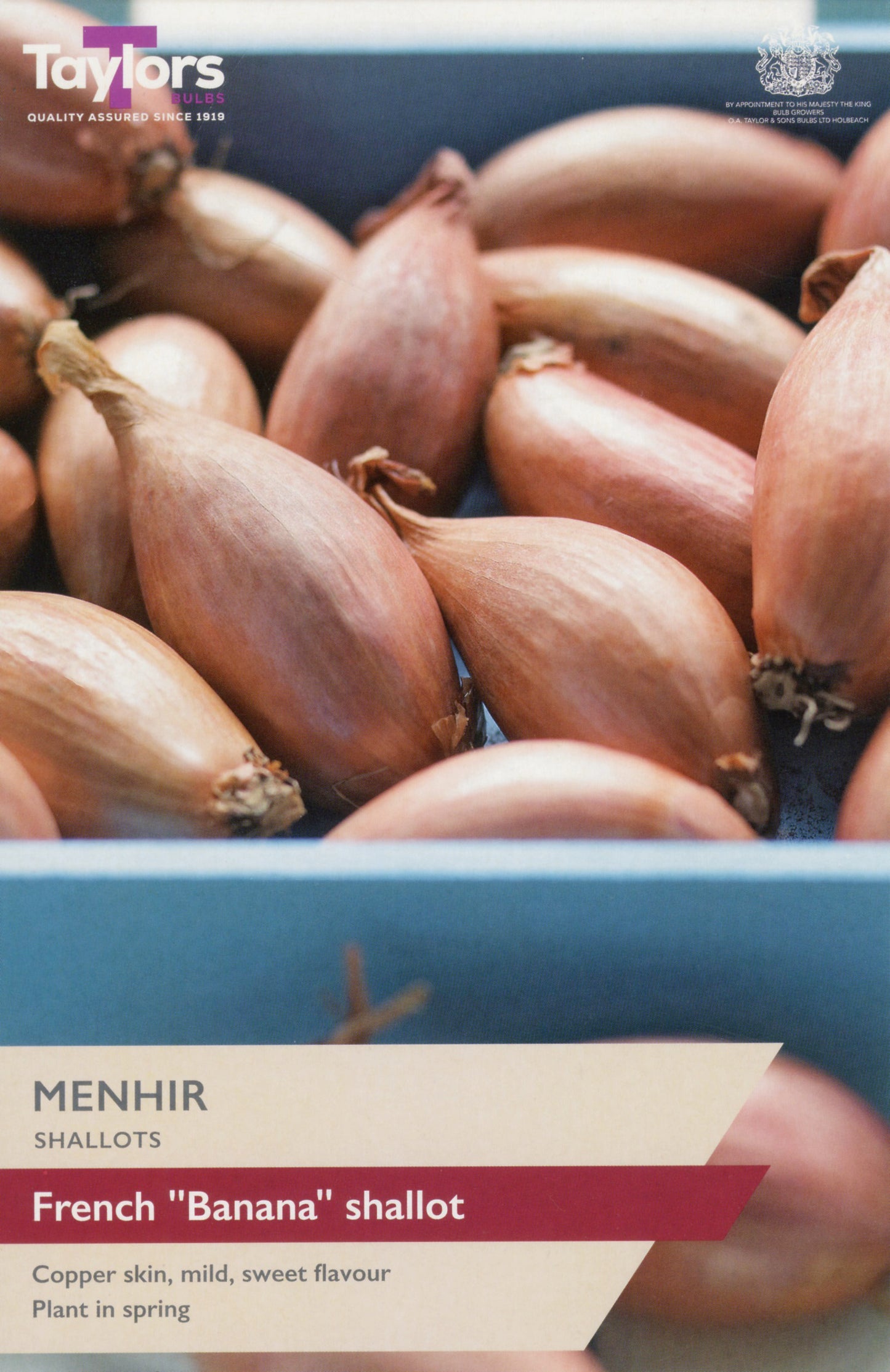 Taylors Bulbs Menhir Shallots