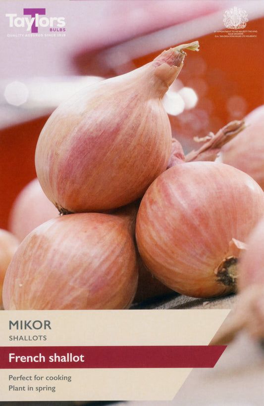 Taylors Bulbs Mikor Shallots