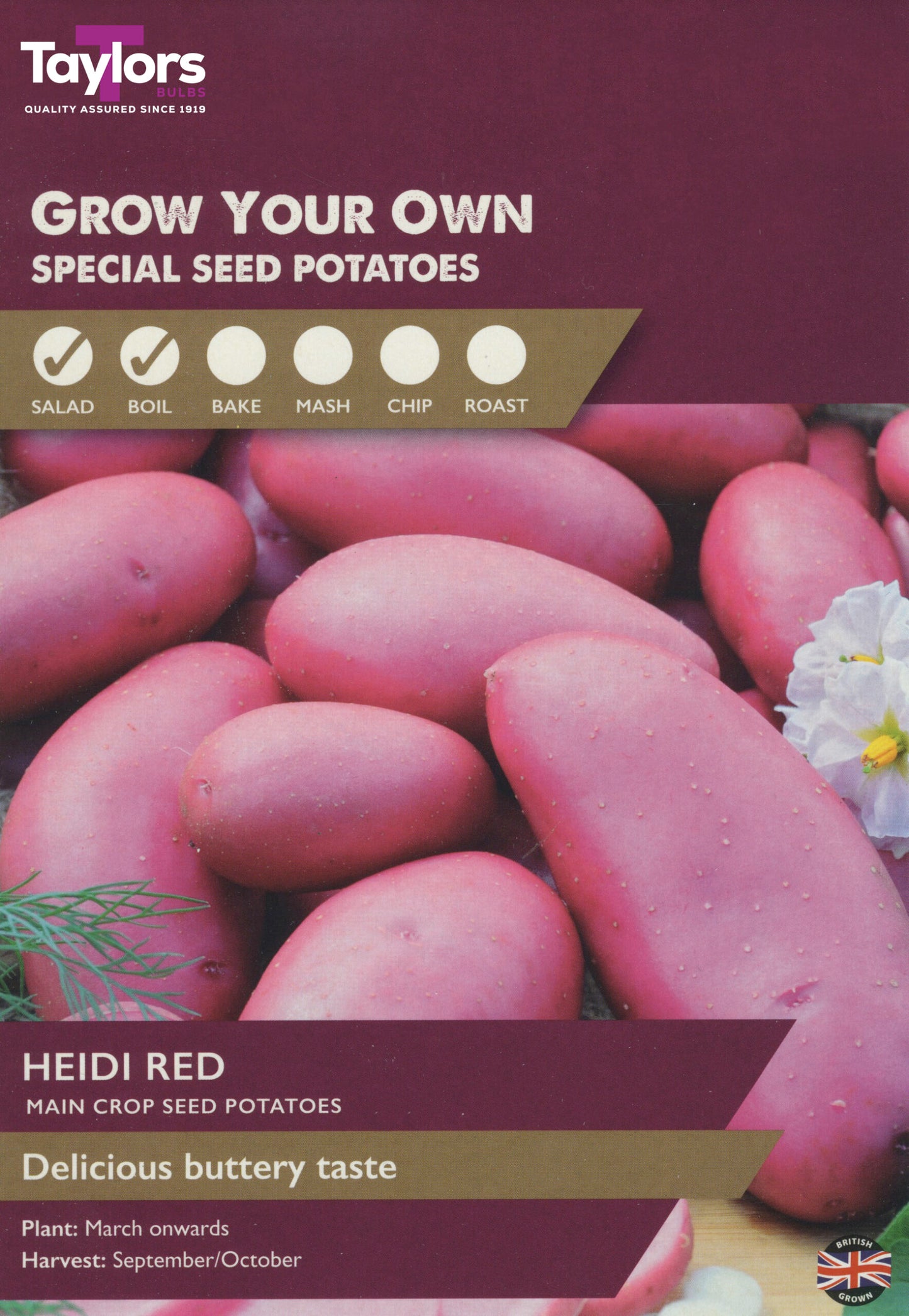 Taylors Bulbs Heidi Red Main Crop Seed Potatoes