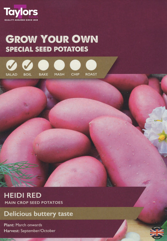 Taylors Bulbs Heidi Red Main Crop Seed Potatoes
