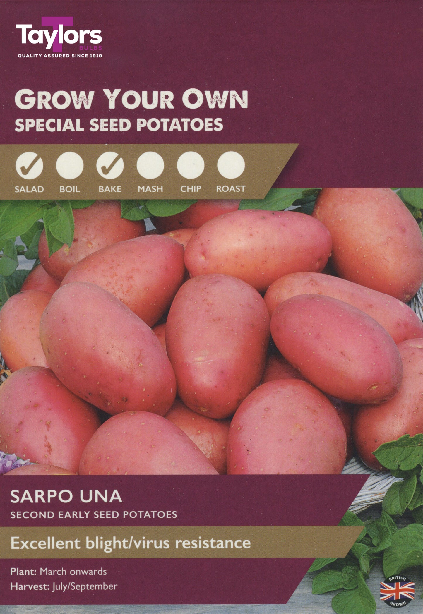 Taylors Bulbs Sarpo Una 8 Second Early Seed Potatoes
