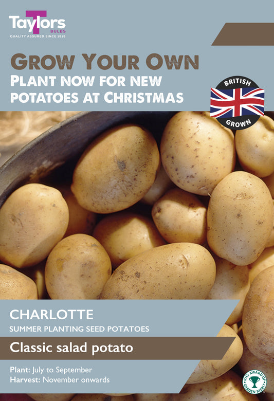 Taylors Bulbs Charlotte Seed Potatoes