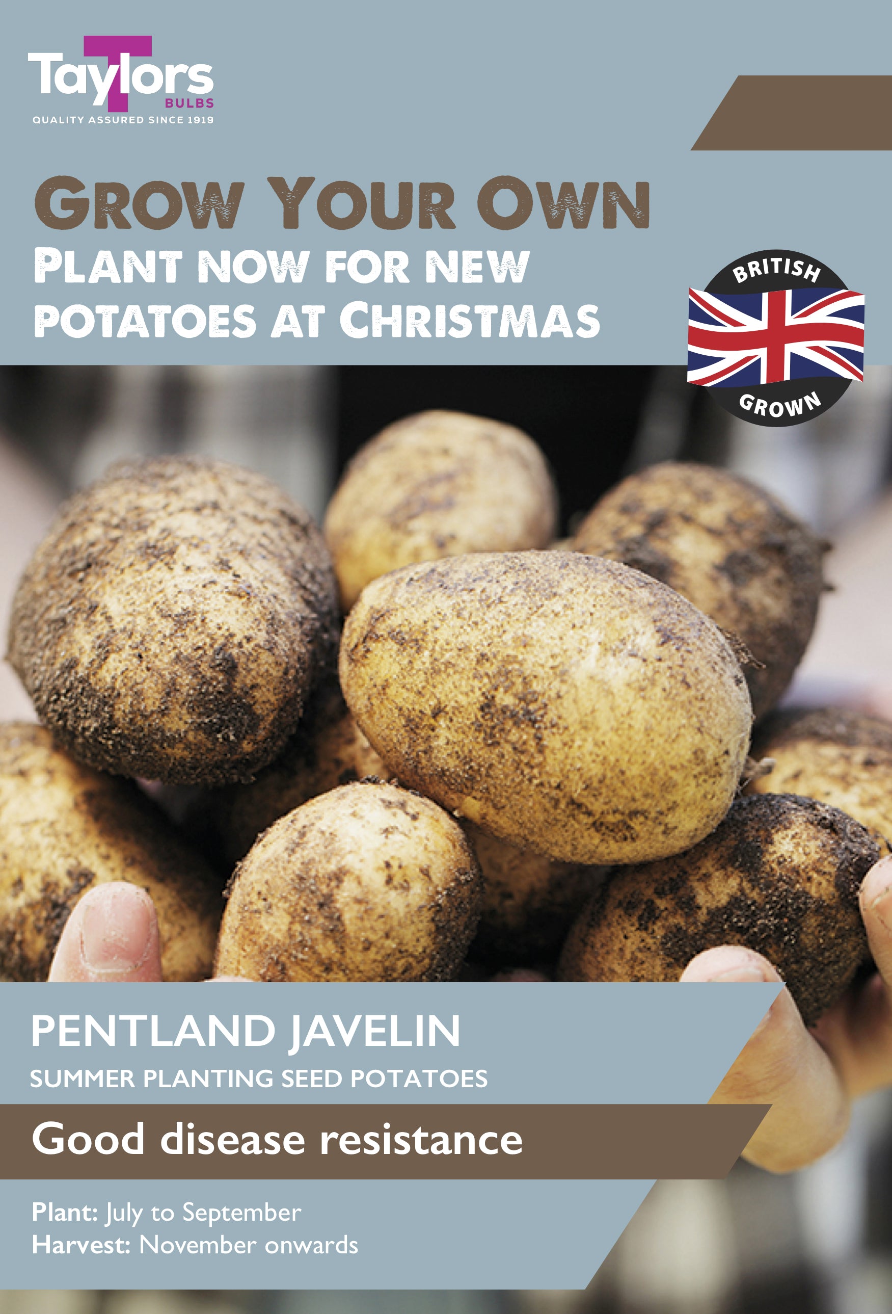 Pre-Packed Potato Pentland Javelin