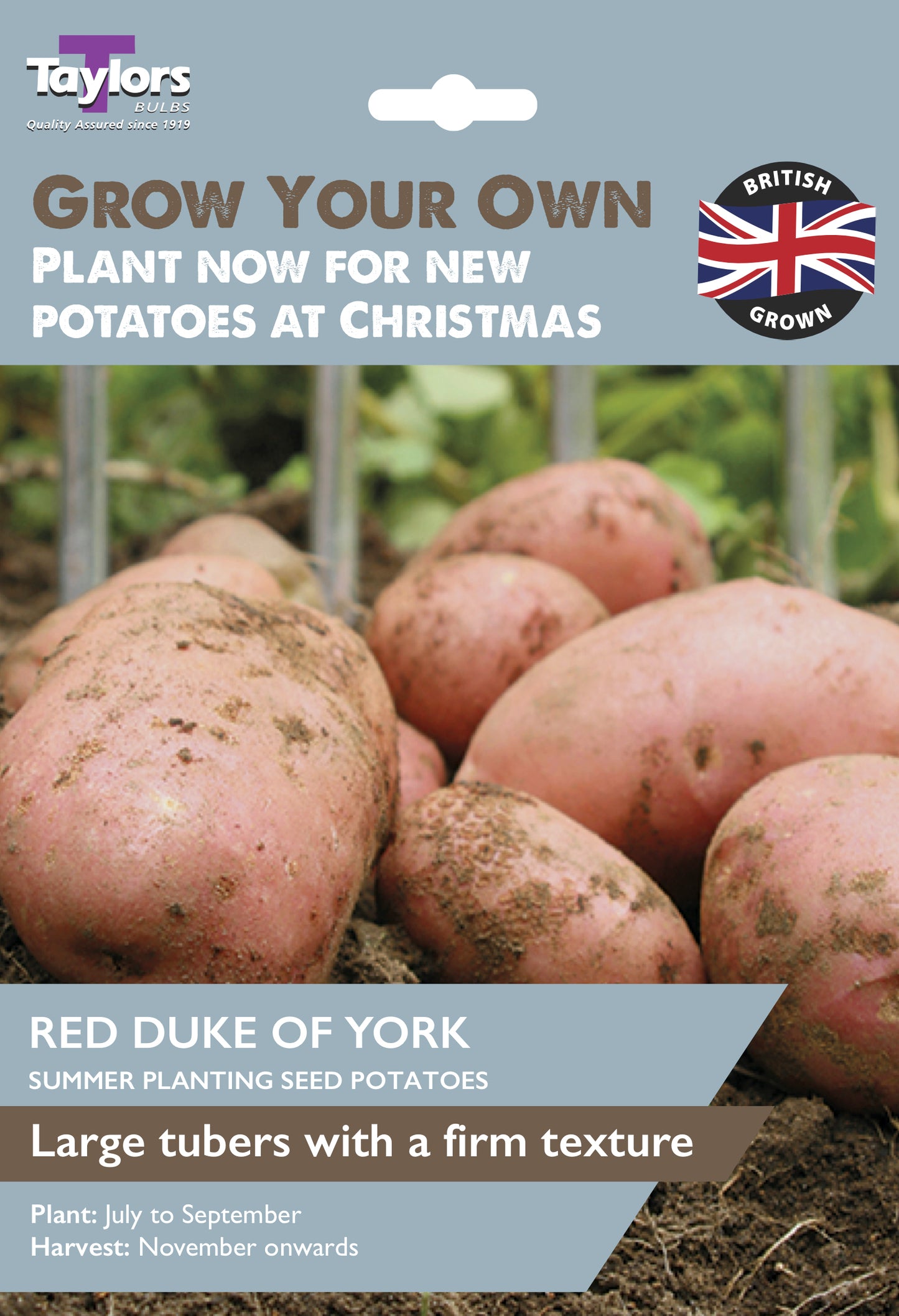 Taylors Bulbs Red Duke of York Seed Potatoes