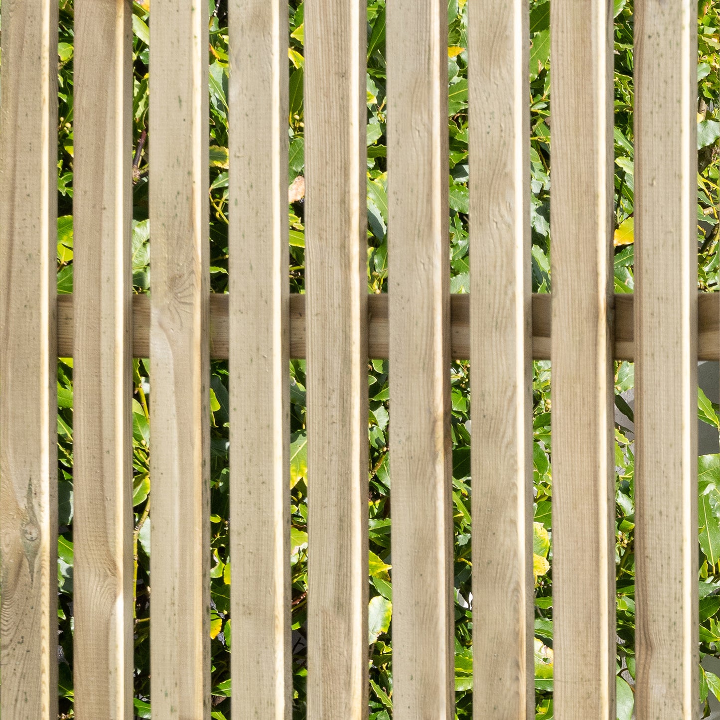 Forest Garden Pressure Treated Vertical Slatted Screen