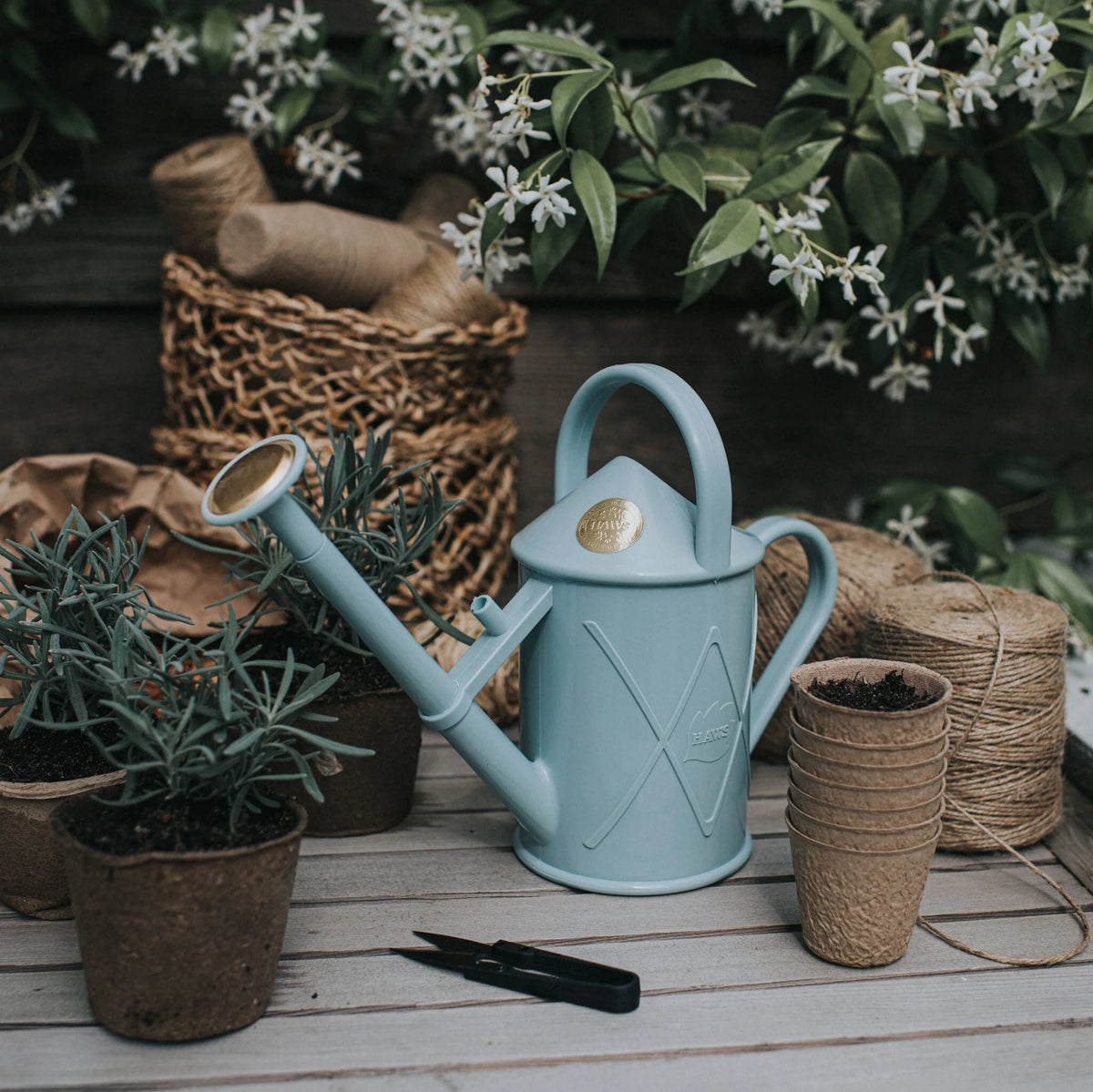 Haws The Bartley Burbler 1L metal watering can with brass rose and classic handle
