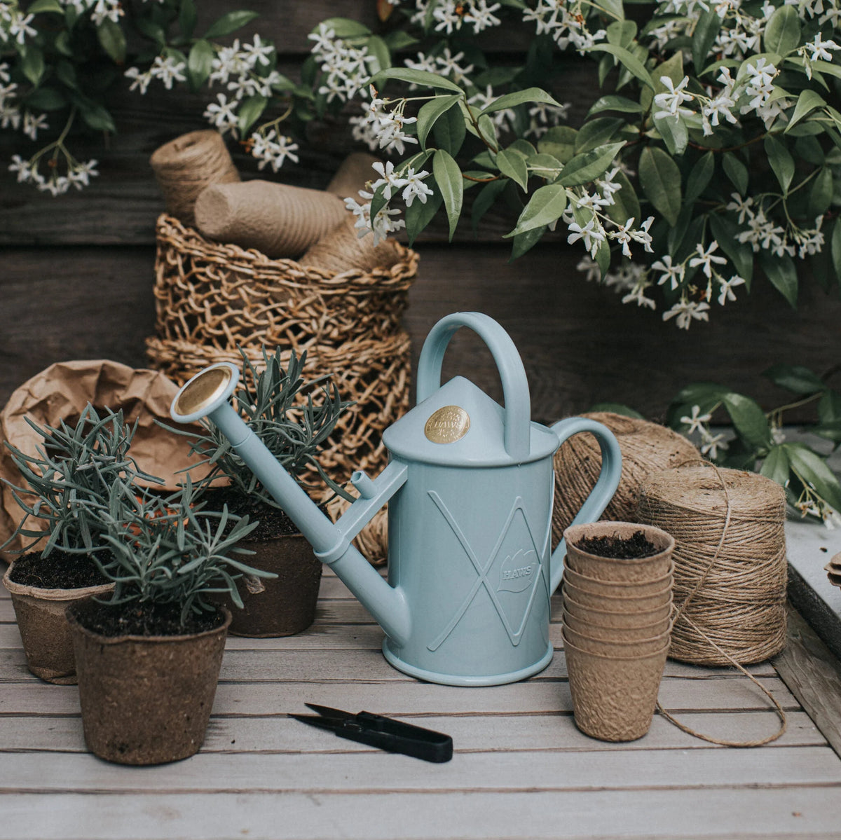 Haws The Bartley Burbler 1L metal watering can with brass rose and classic handle
