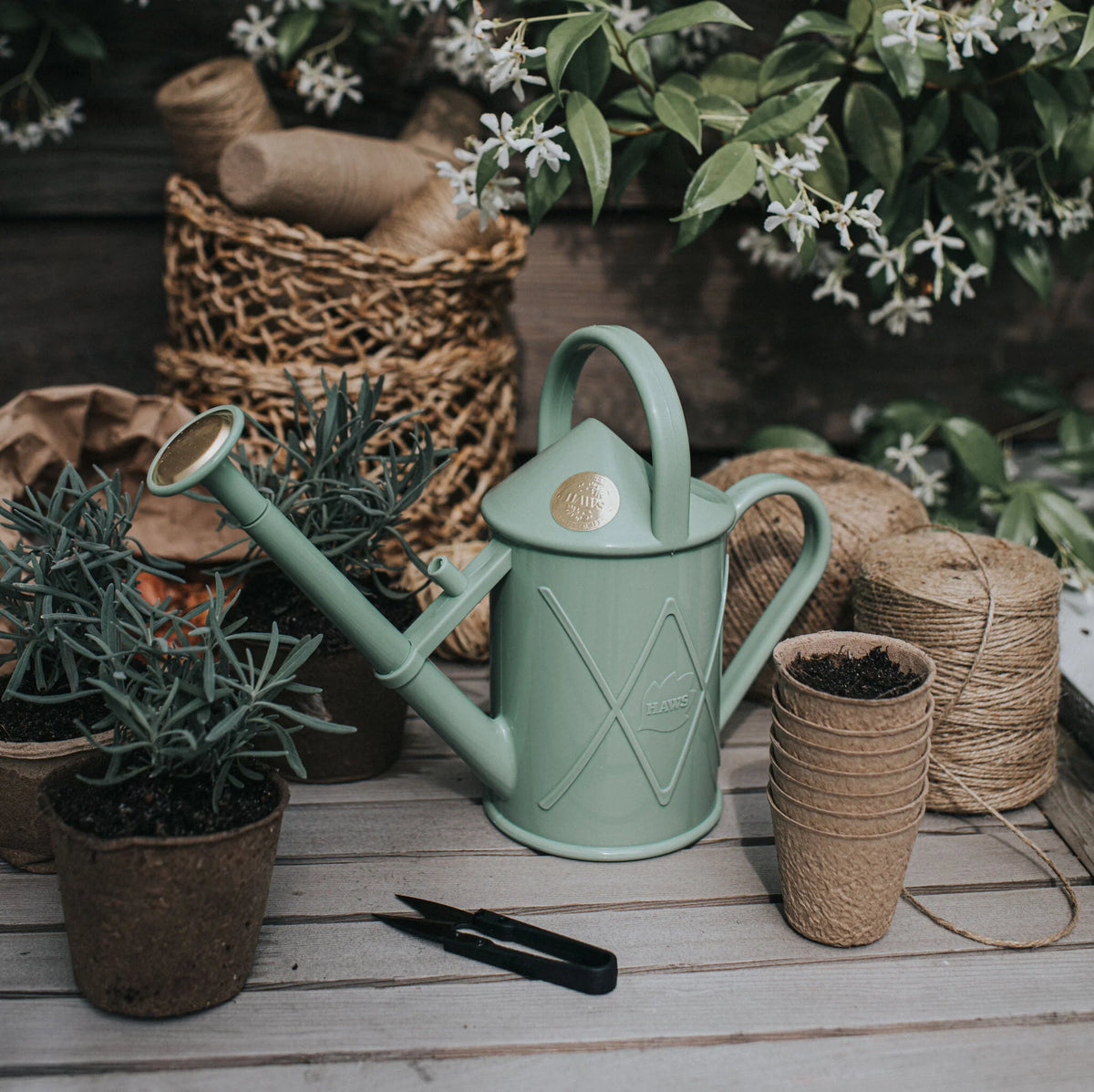 Haws The Bartley Burbler 1L metal watering can with brass rose and classic handle