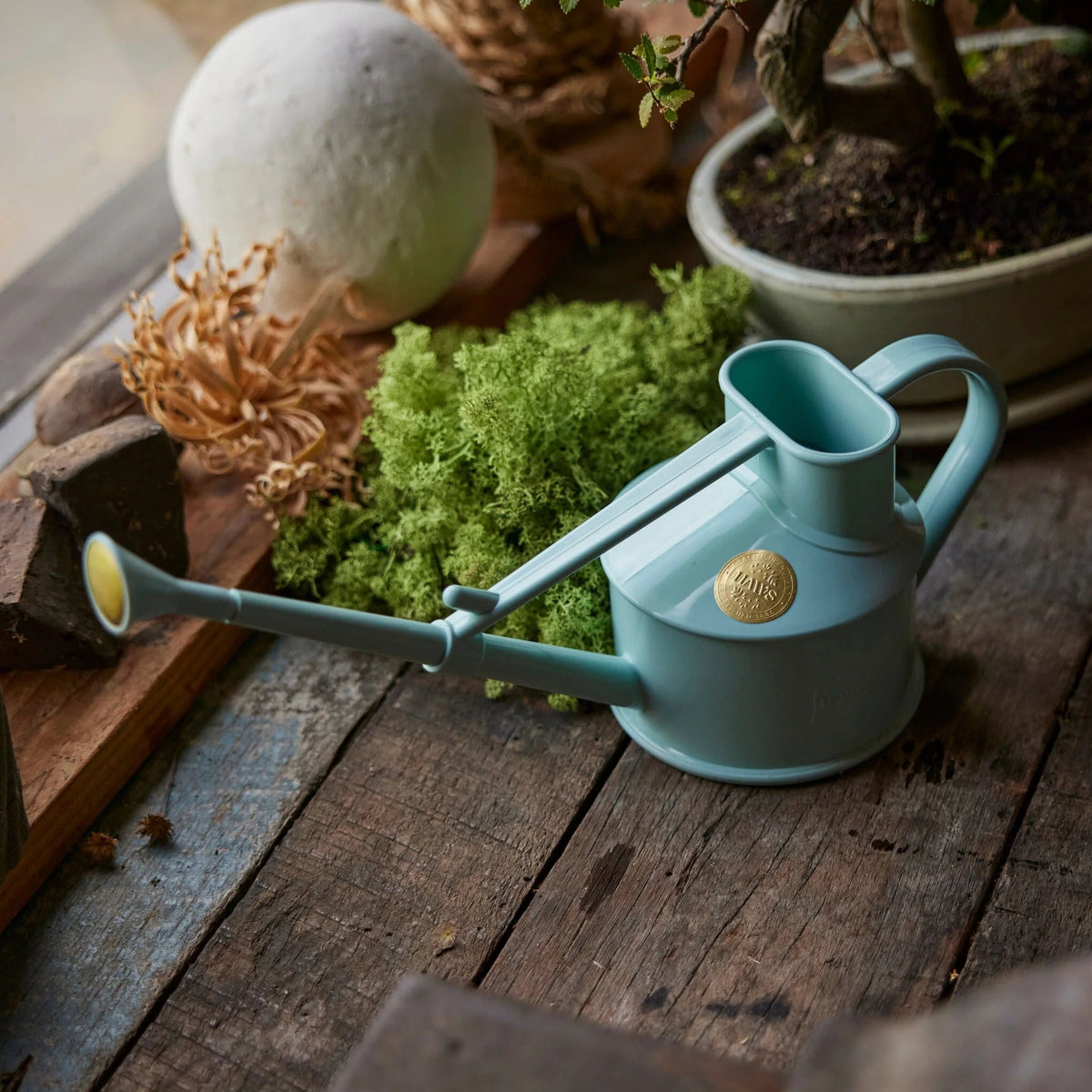 Haws The Langley Sprinkler 0.6L watering can with brass rose and classic handle