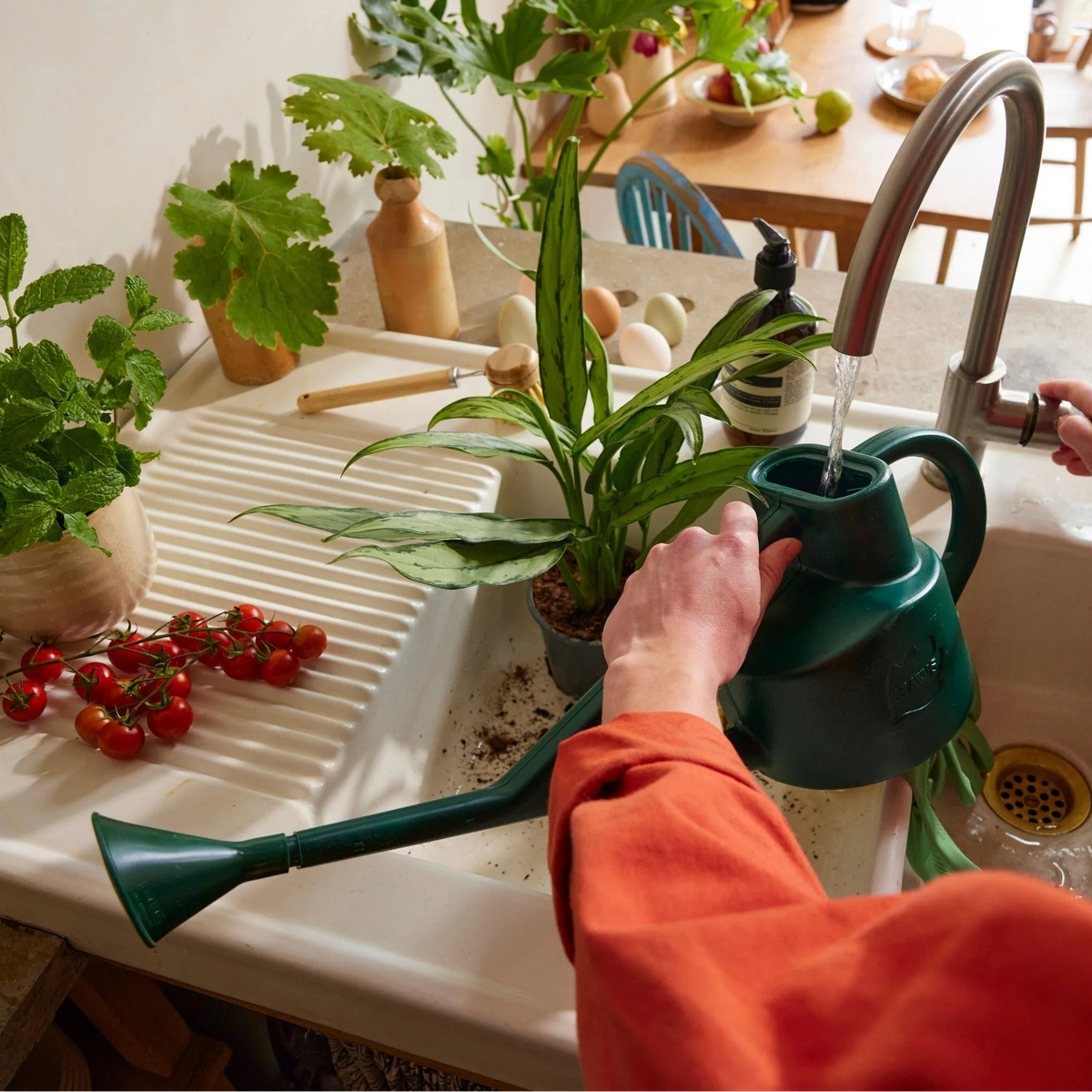 Haws The Sutton Splash green metal watering can with brass rose and dual handles