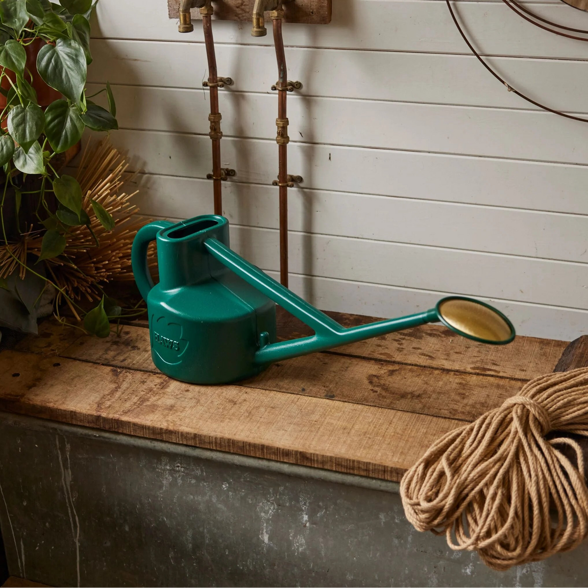 Haws The Selly Soak 4.5L green metal watering can with brass rose and dual handles