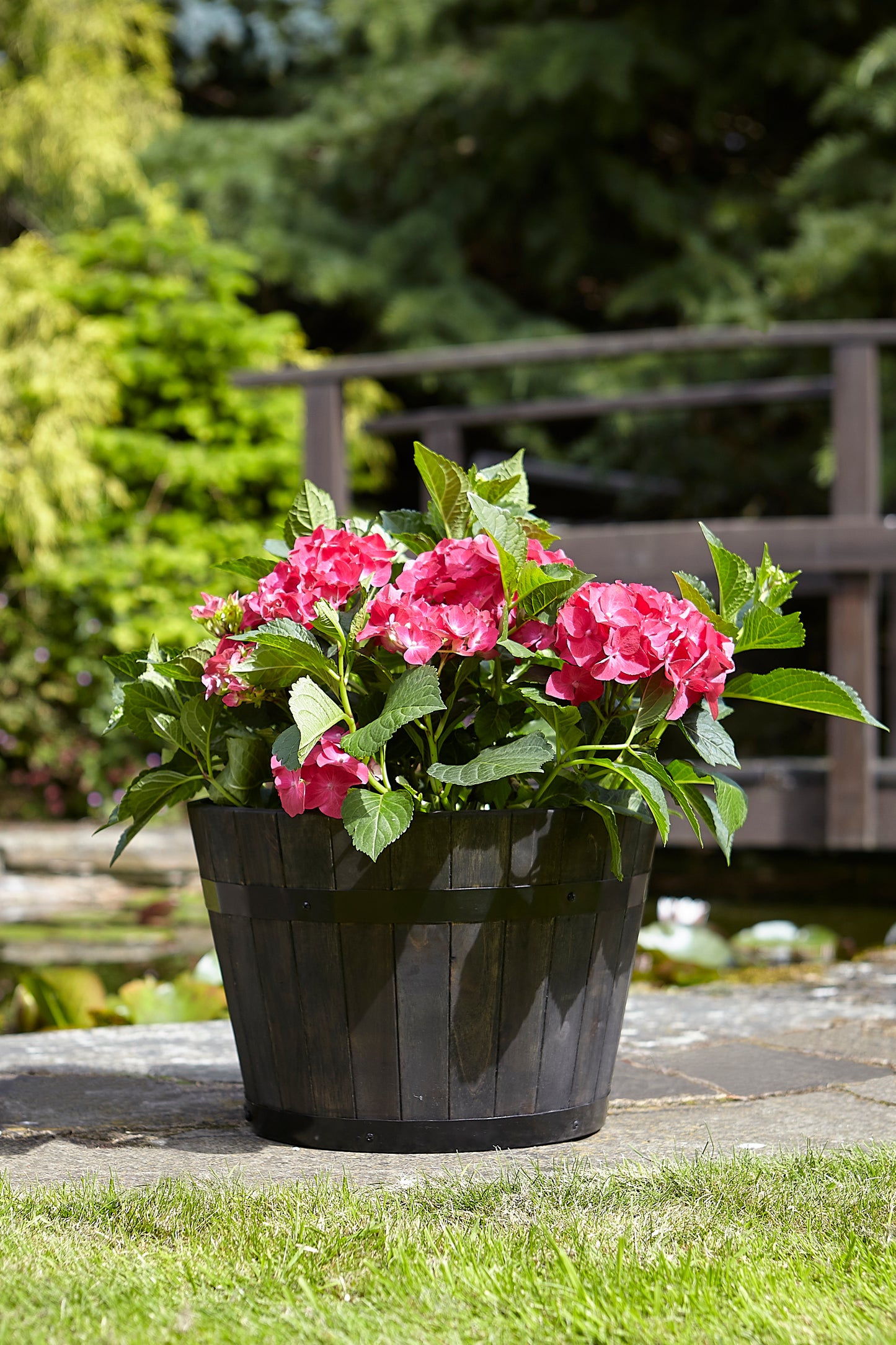 Tom Chambers Whiskey Barrel Planter