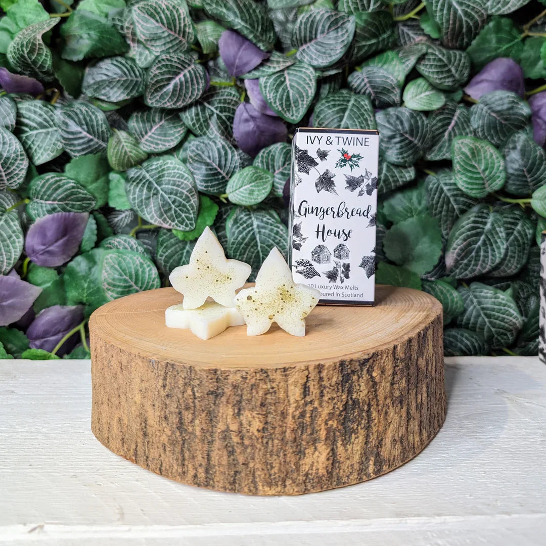 Ivy &amp; Twine Gingerbread House botanical wax melt bar displayed beside a ceramic fragrance warmer