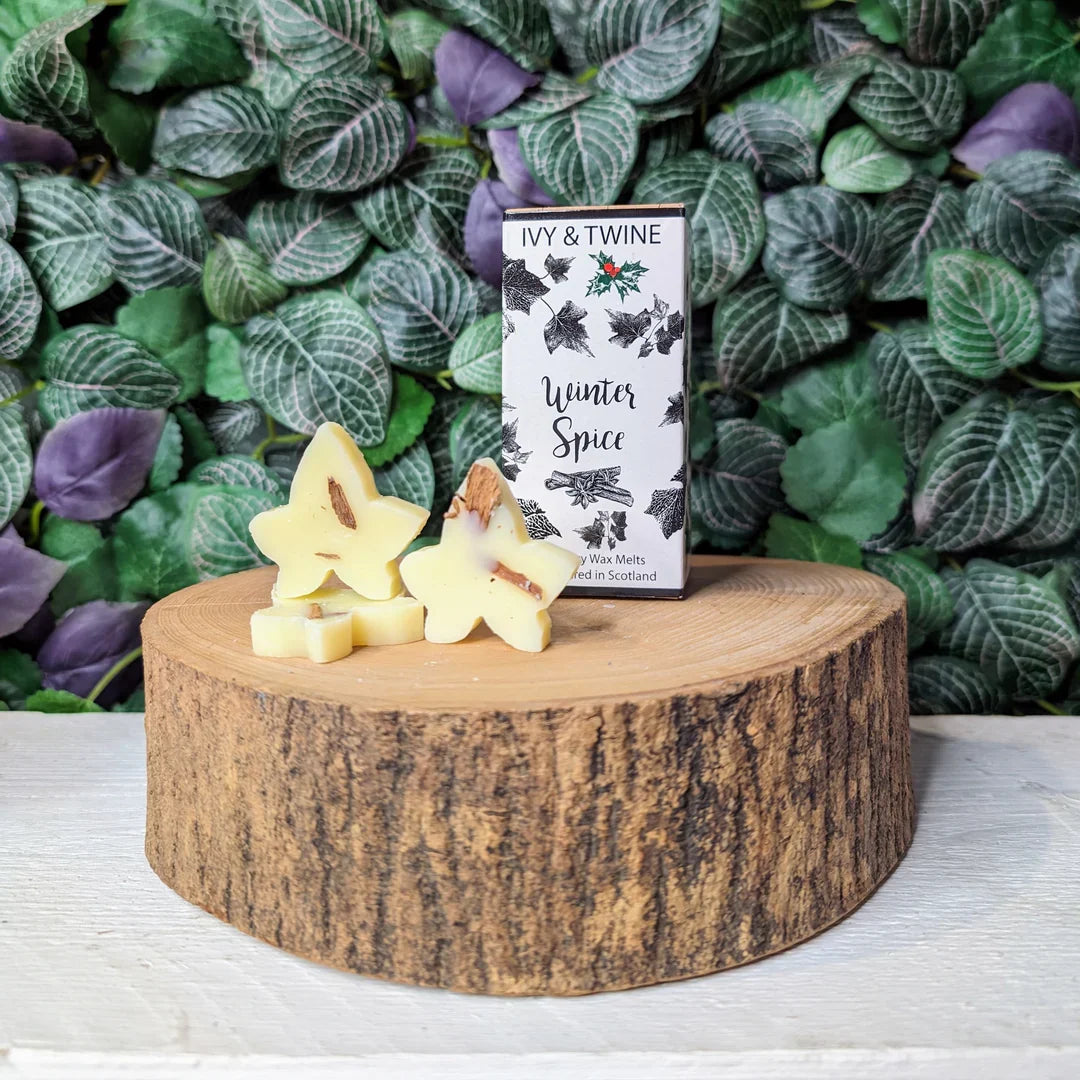 Ivy &amp; Twine Winter Spice botanical wax melt bar displayed beside an open ceramic fragrance warmer