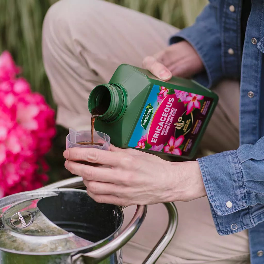 Westland Ericaceous Specialist Liquid Feed 1LT