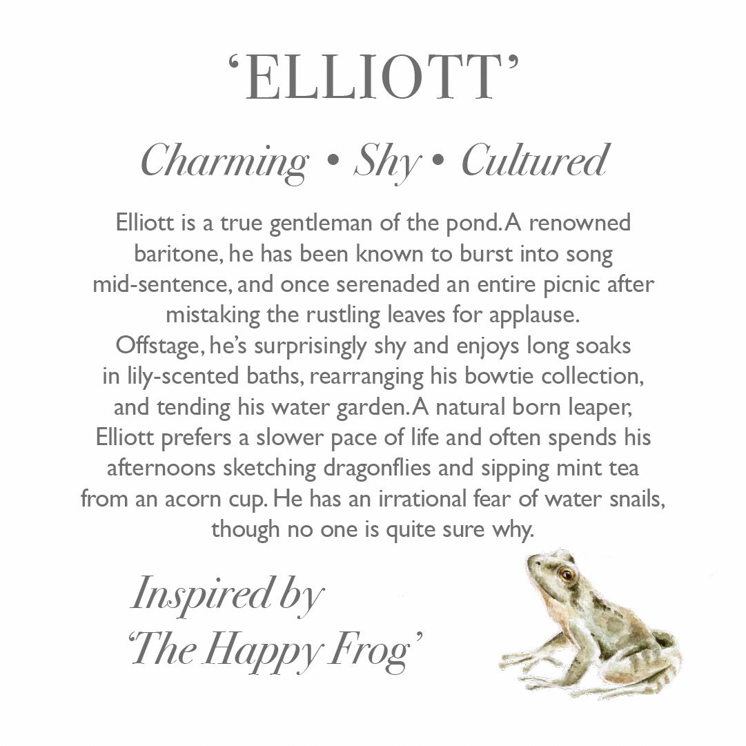 Wrendale Elliott Plush Frog Character