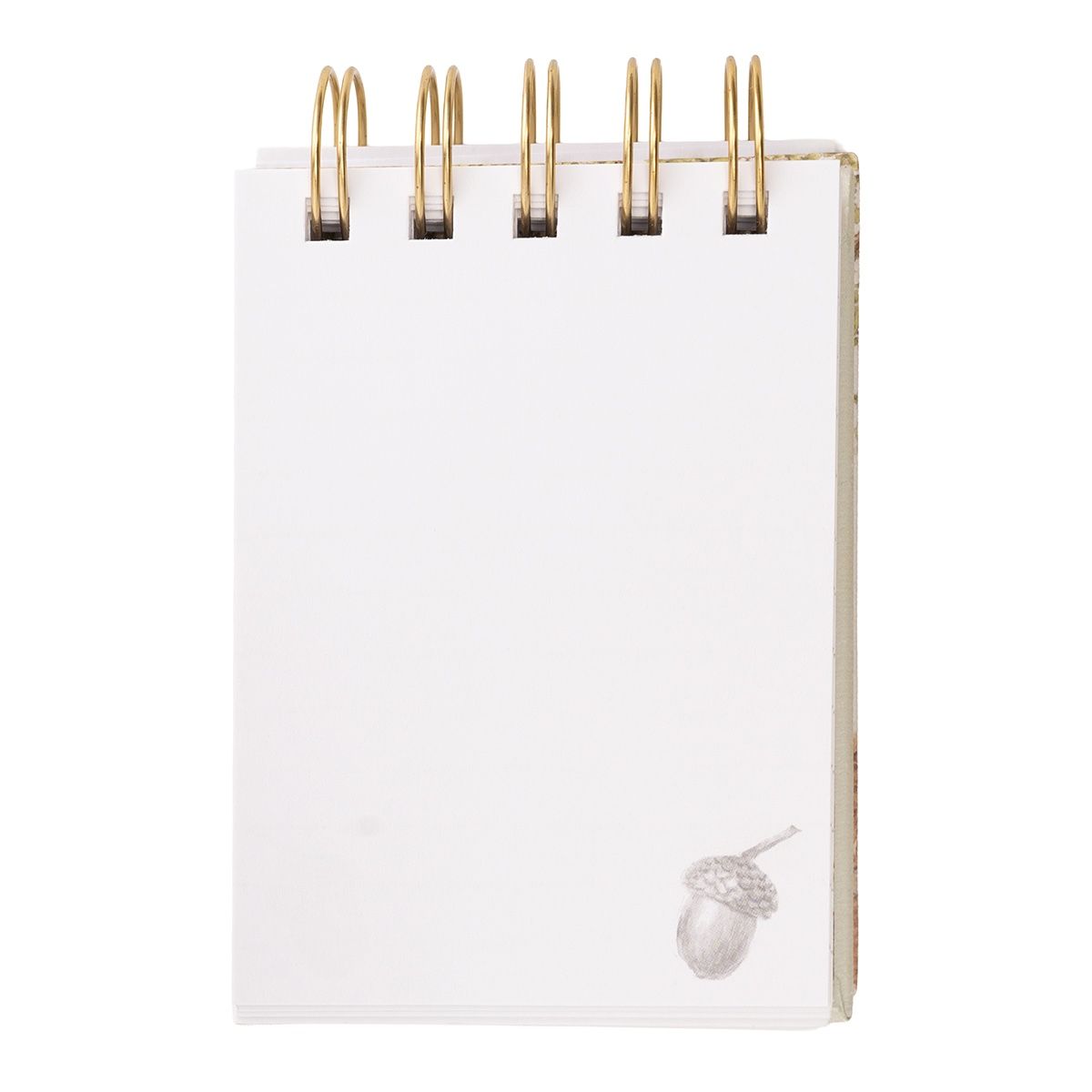 Wrendale Wild Woodland Nature Field Notebook