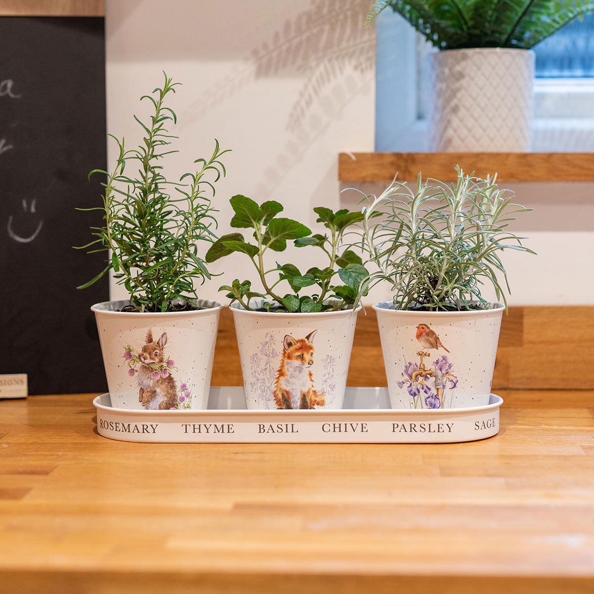 Wrendale Woodland Herb Pots & Tray