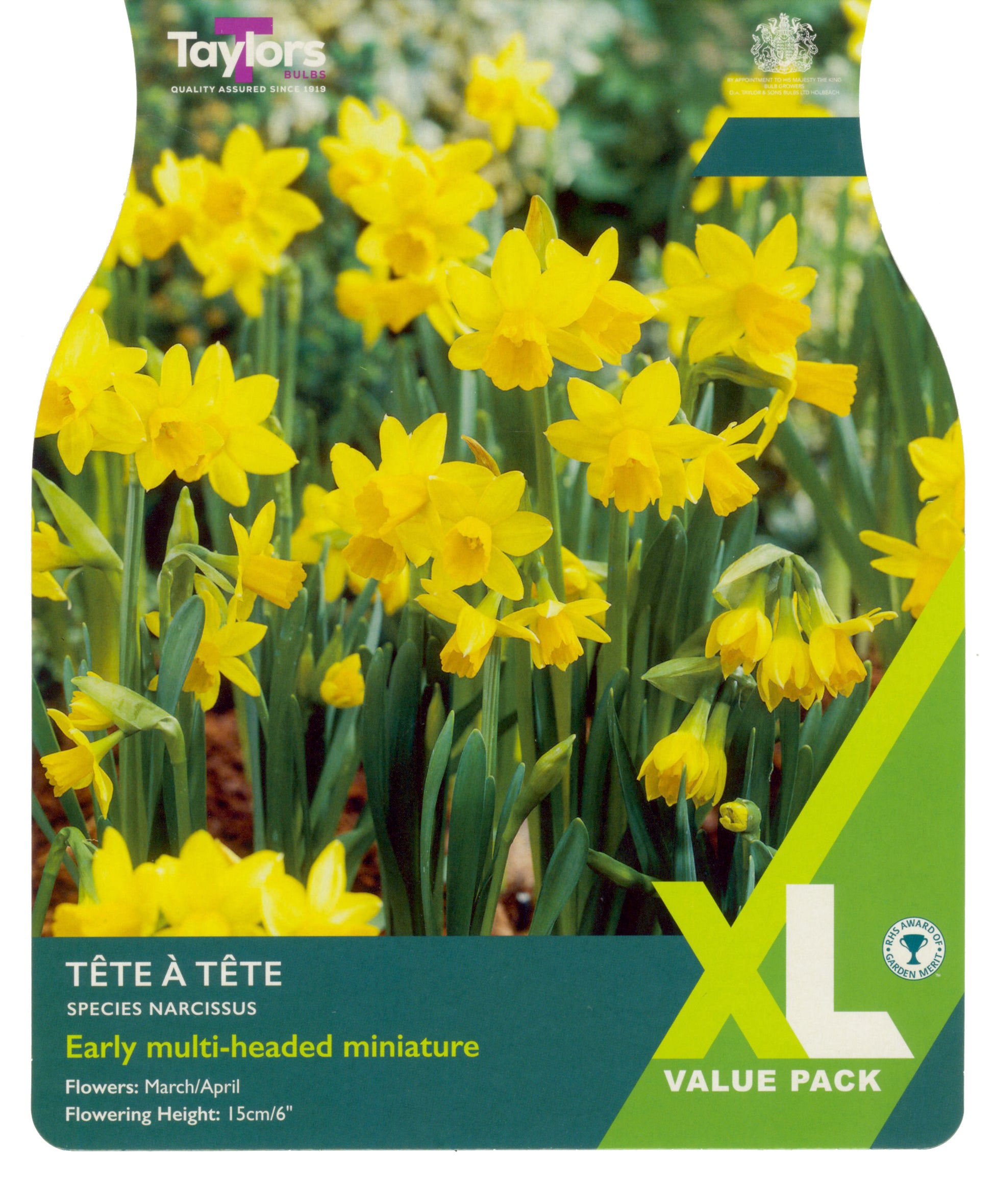 Taylors Bulbs - Narcissi Tete A Tete - 12up