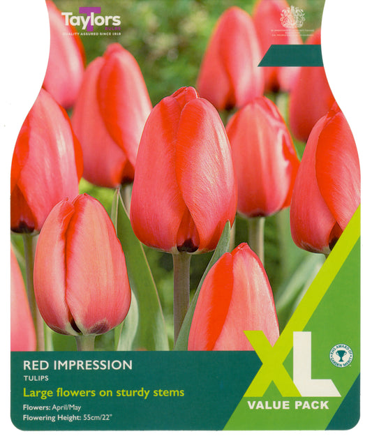 Taylors Bulbs Tulip Red Impression XL Value Pack