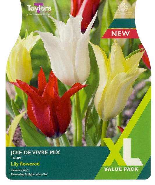 Taylors Bulbs - Tulip Joie De Vivre Mix - 11-12