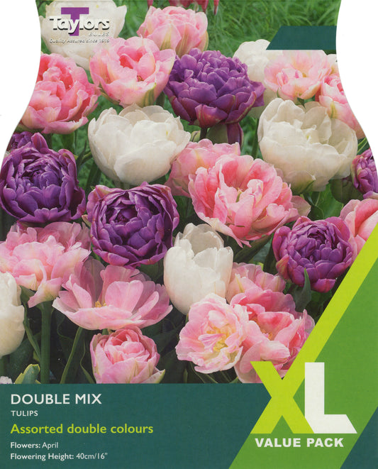 Taylors Bulbs Double Mix Tulip XL Value Pack