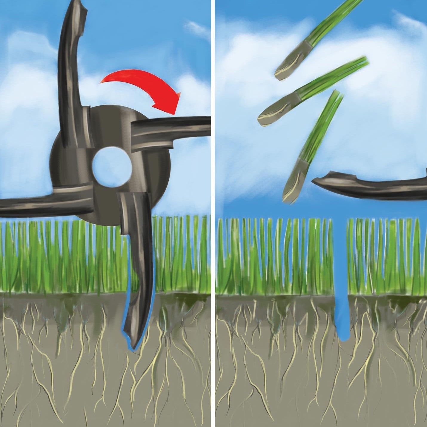 Weibang Intrepid 51 ARP Lawn Aerator