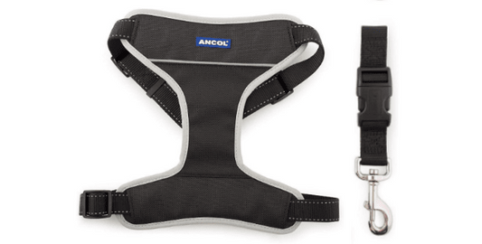 Ancol Nylon Travel & Exercise Dog Harness