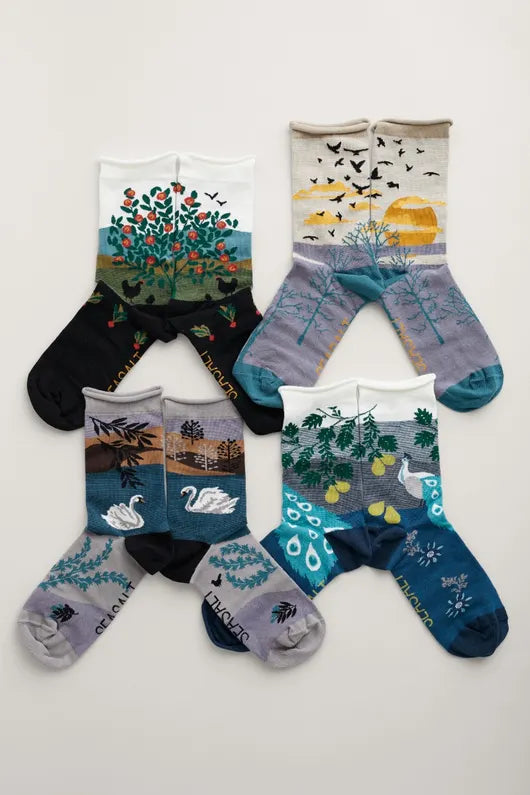 Seasalt Box of 4 Women's Postcard Socks