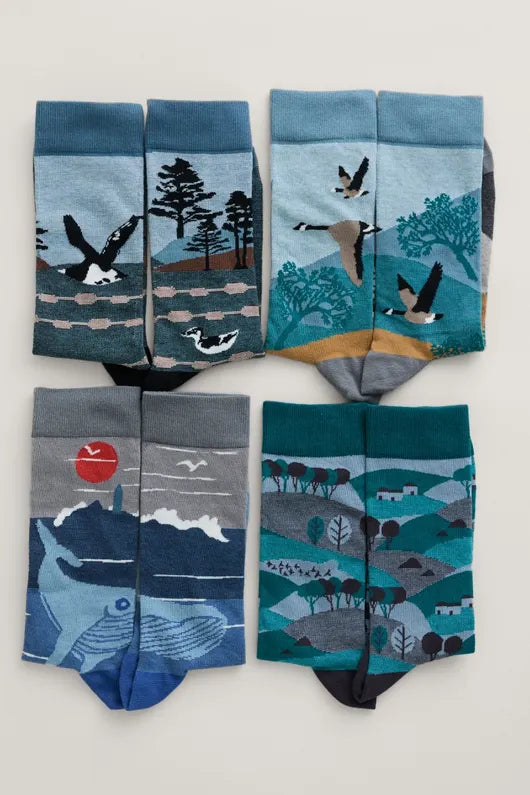 Seasalt Box of 4 Men's Postcard Socks