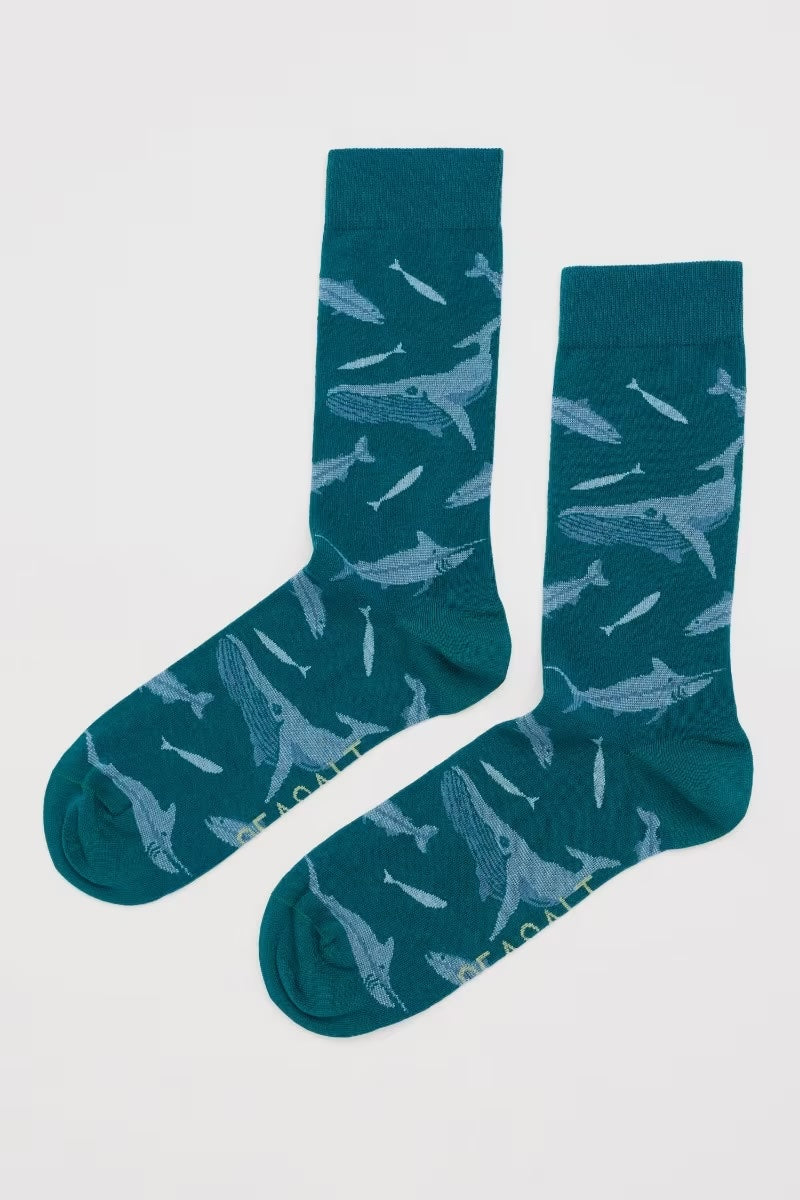 Seasalt Men's Arty Socks