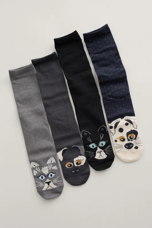 Seasalt Gift Box of 4 Women's Sailor Socks