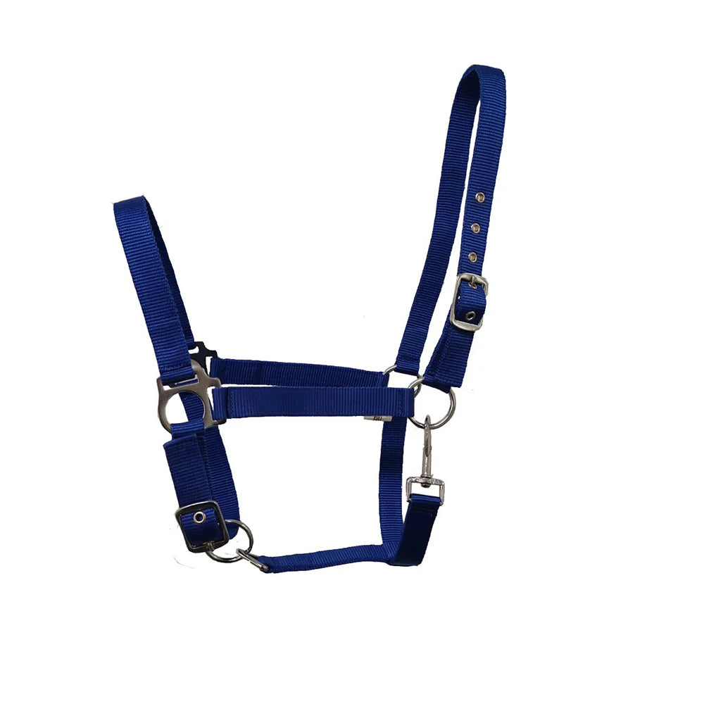 Equestrian economy webbing head collar with adjustable brass buckles for horses