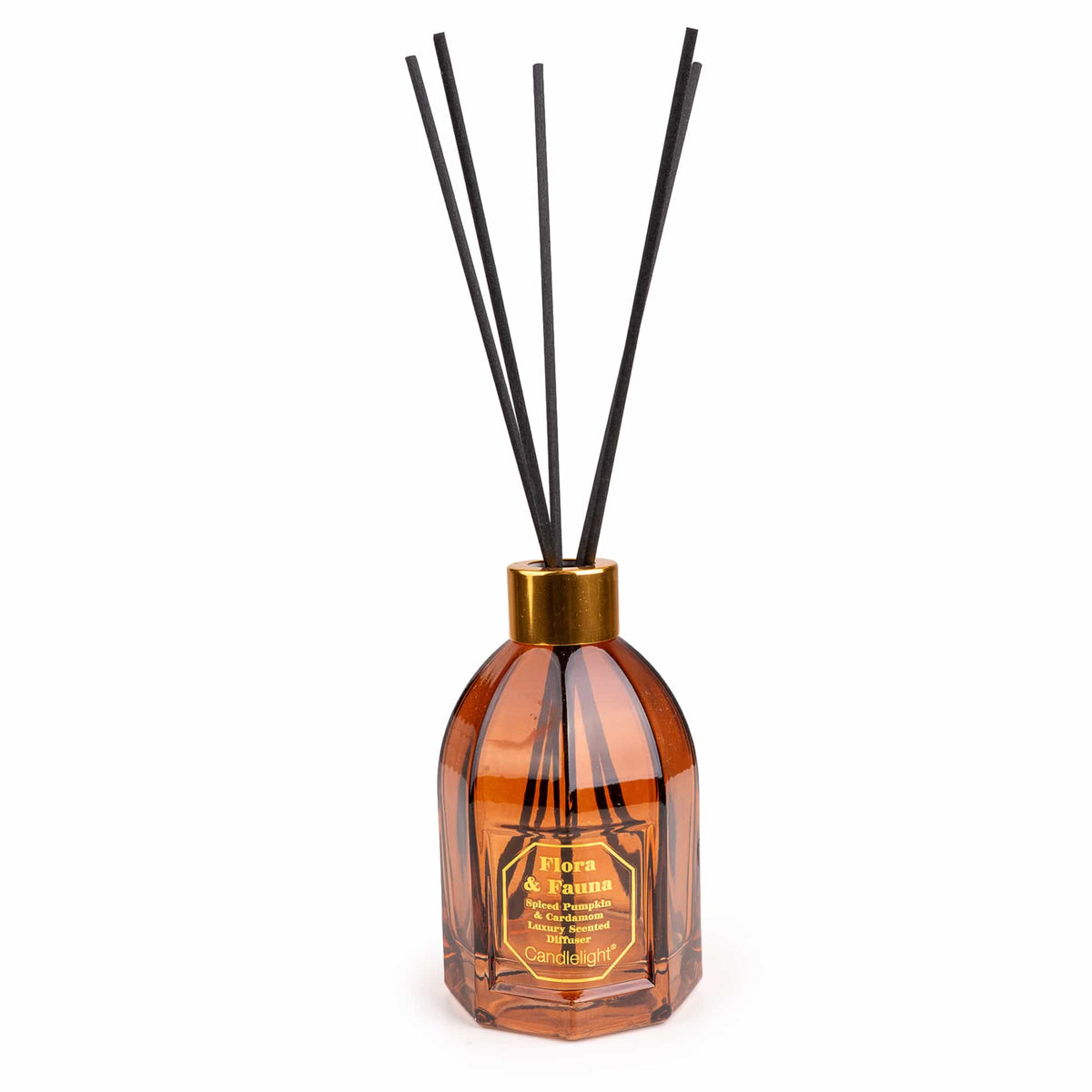Candlelight Pumpkins Flora and Fauna 200ml reed diffuser in amber glass bottle with illustrated gift packaging tube