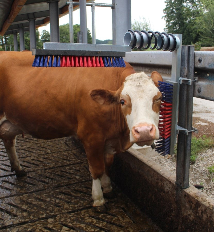 Kerbl Cattle Brush Lotte - 50x10cm