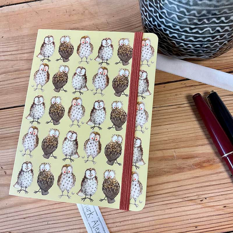 Alex Clark Owls Small Chunky Notebook
