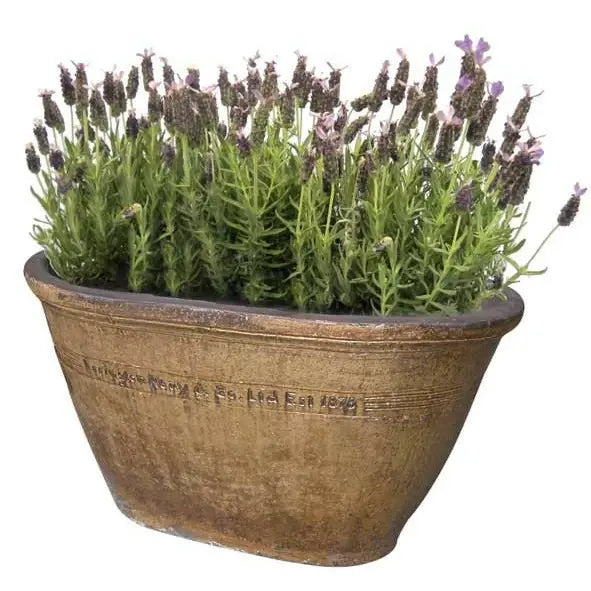 Errington Reay Country Old Leather oval tub ceramic planter for garden plants