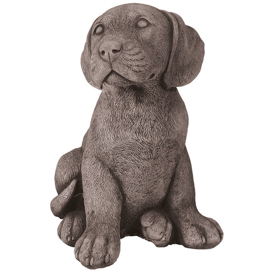 Willowstone Dog Basil Labrador