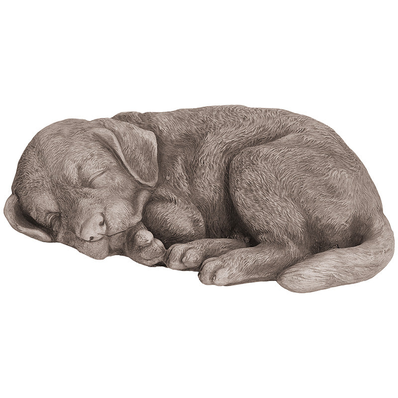 Willowstone Sleeping Dog Chester