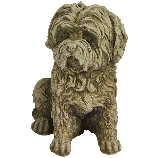 Willowstone Dog Harley (Shihtzu/Small Dog)