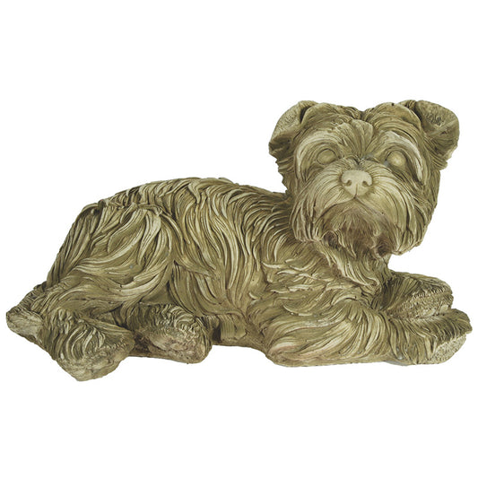 Willowstone Riley Terrier D11AG