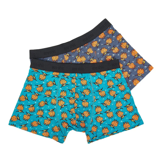 Eco Chic Eco-Friendly Men's Bamboo Boxers Highland Cow 2 Pack