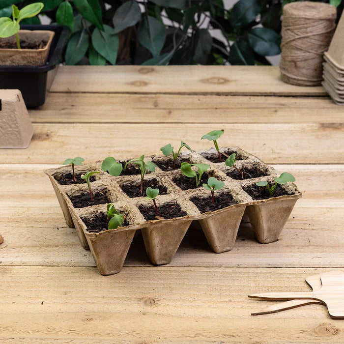 Bosmere Growers Choice 12 Cell Peat Free Pot Strips 3-Pack