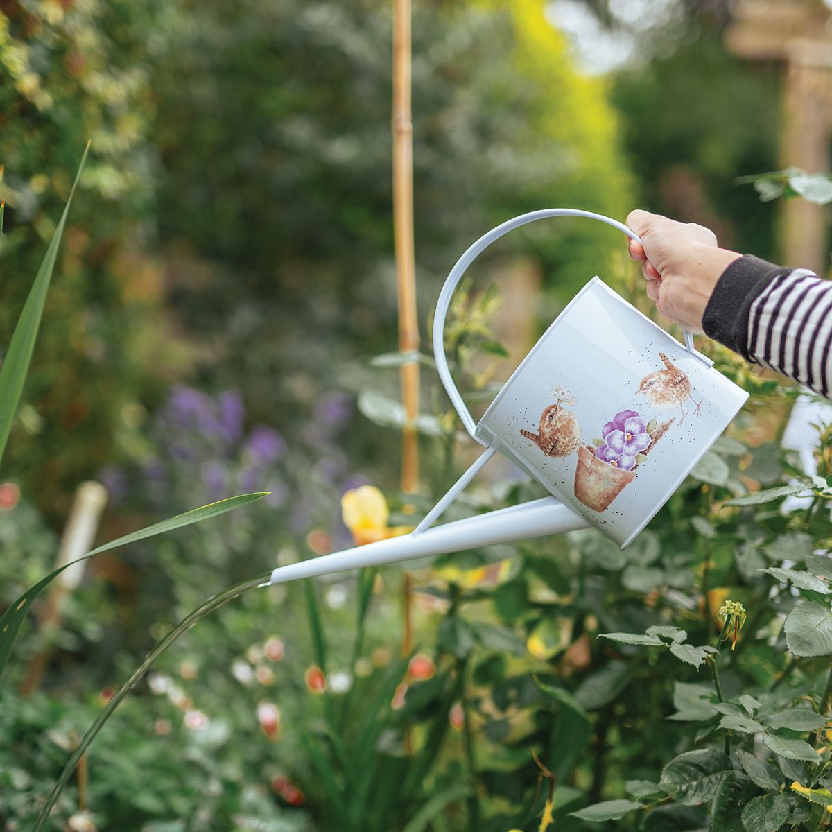 Wrendale Pottering About Wren Watering Can