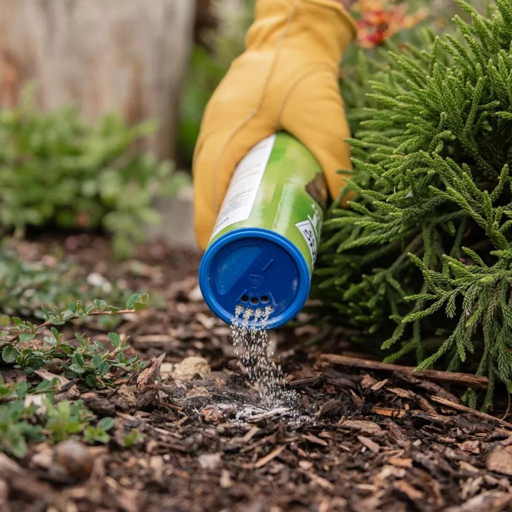 Westland Growing Success Cat Repellent 500g