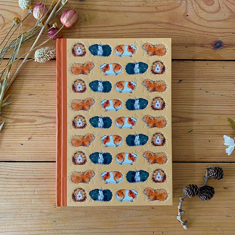 Alex Clark Gorgeous Guinea Pigs Small Hardback Journal